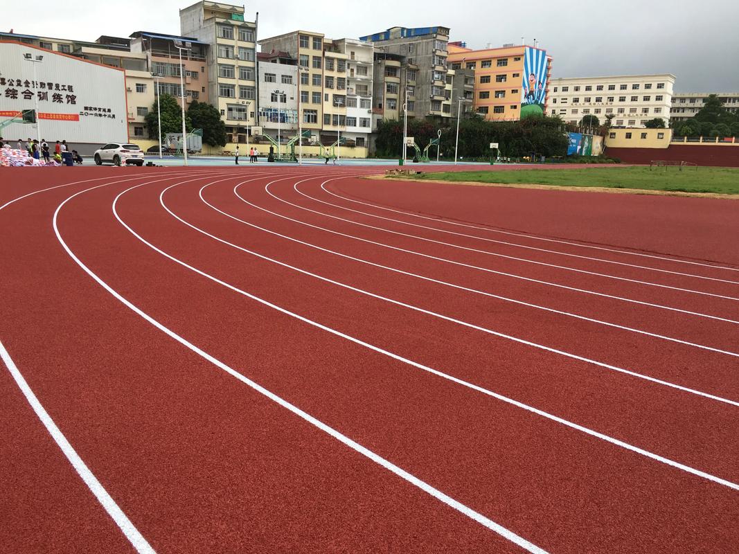 德宏傣族景颇族自治州硅PU塑胶跑道材料 - 排名